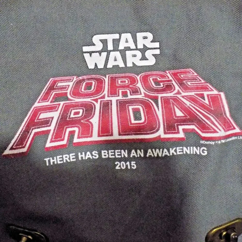 Disney parks force